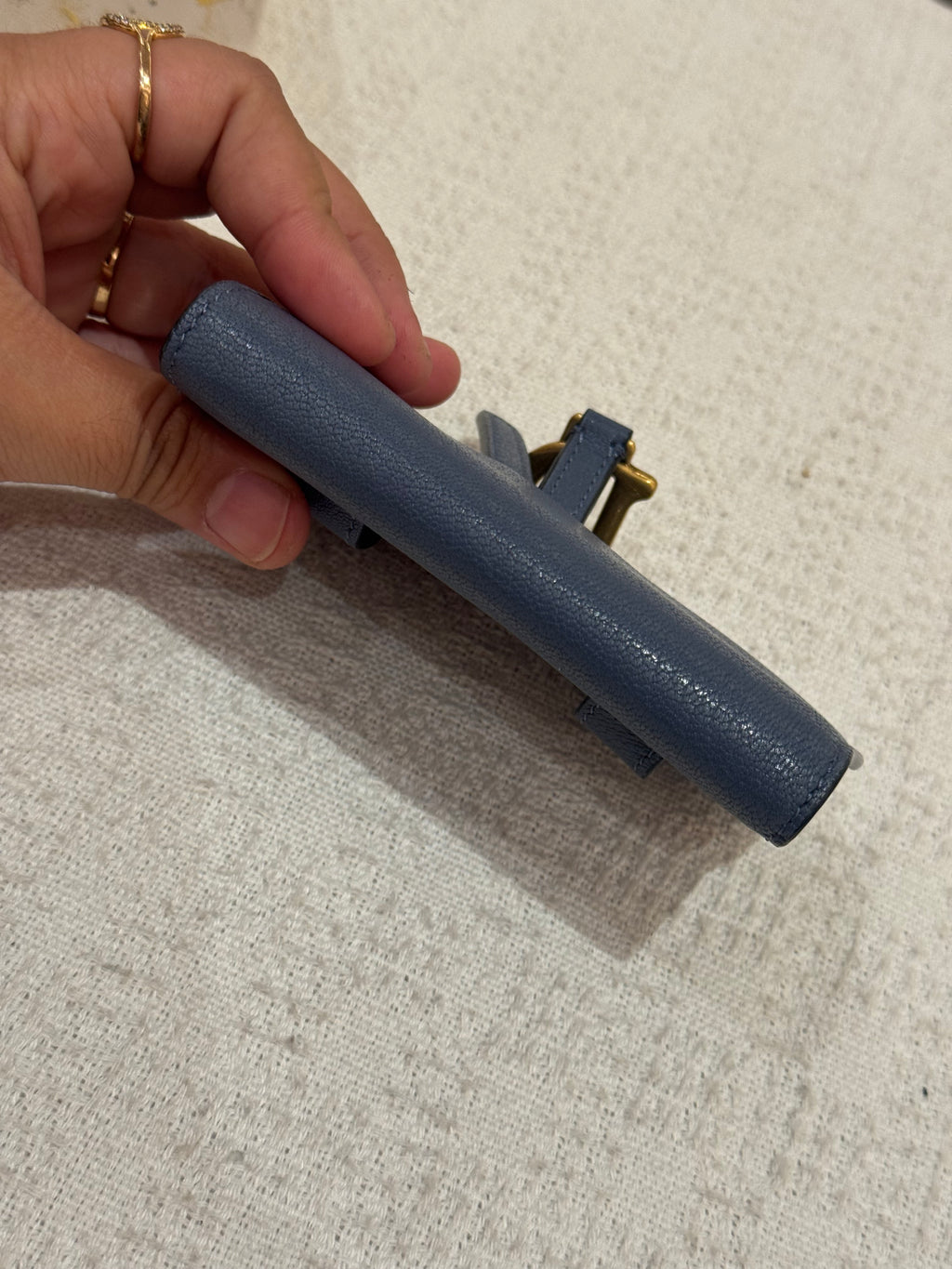 Dior Saddle Mini Wallet Chain