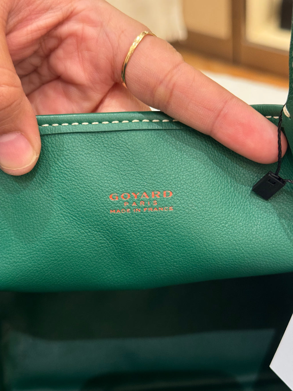 Goyard Anjou Mini Vert
