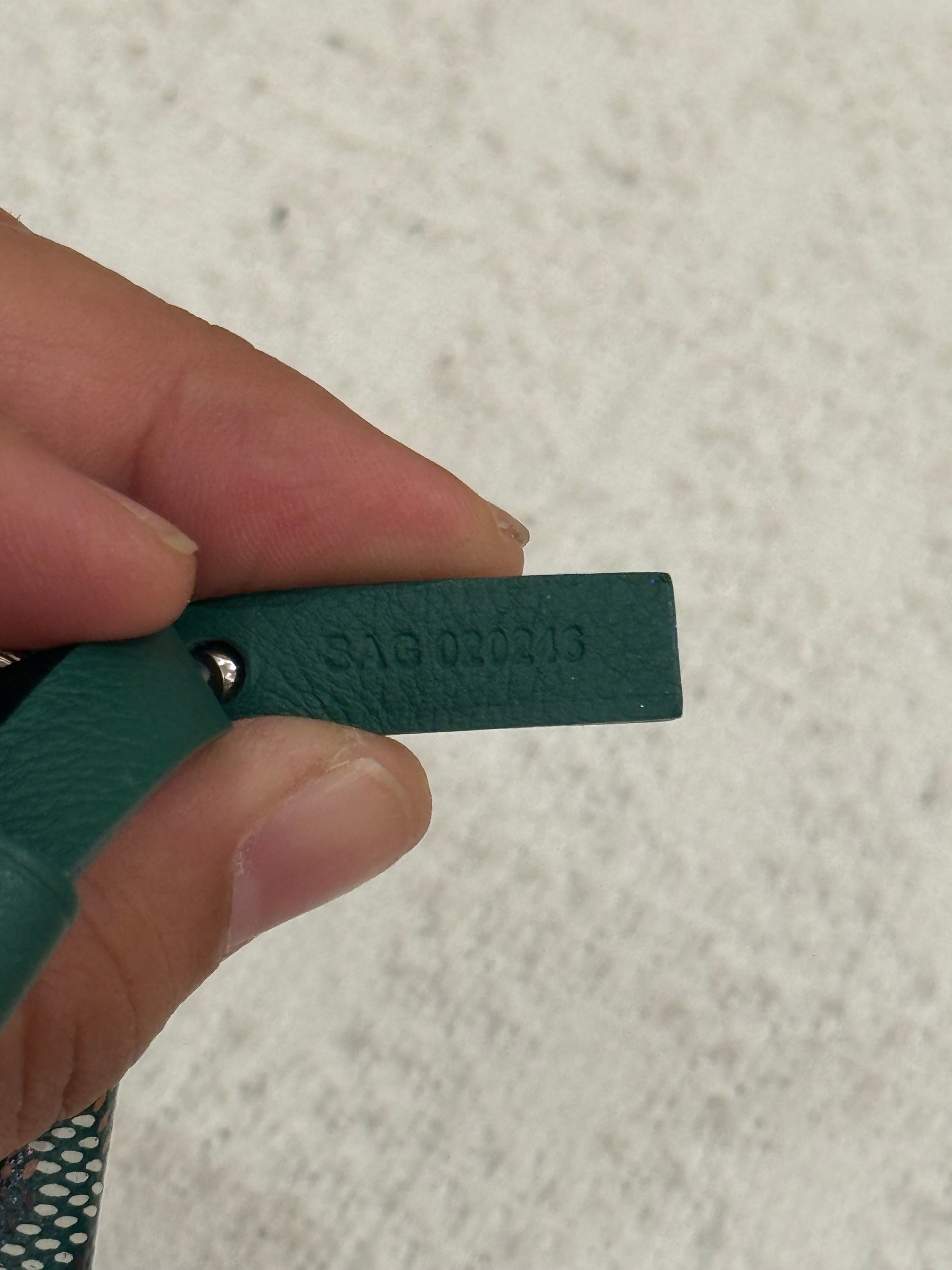 Goyard Anjou Mini Vert
