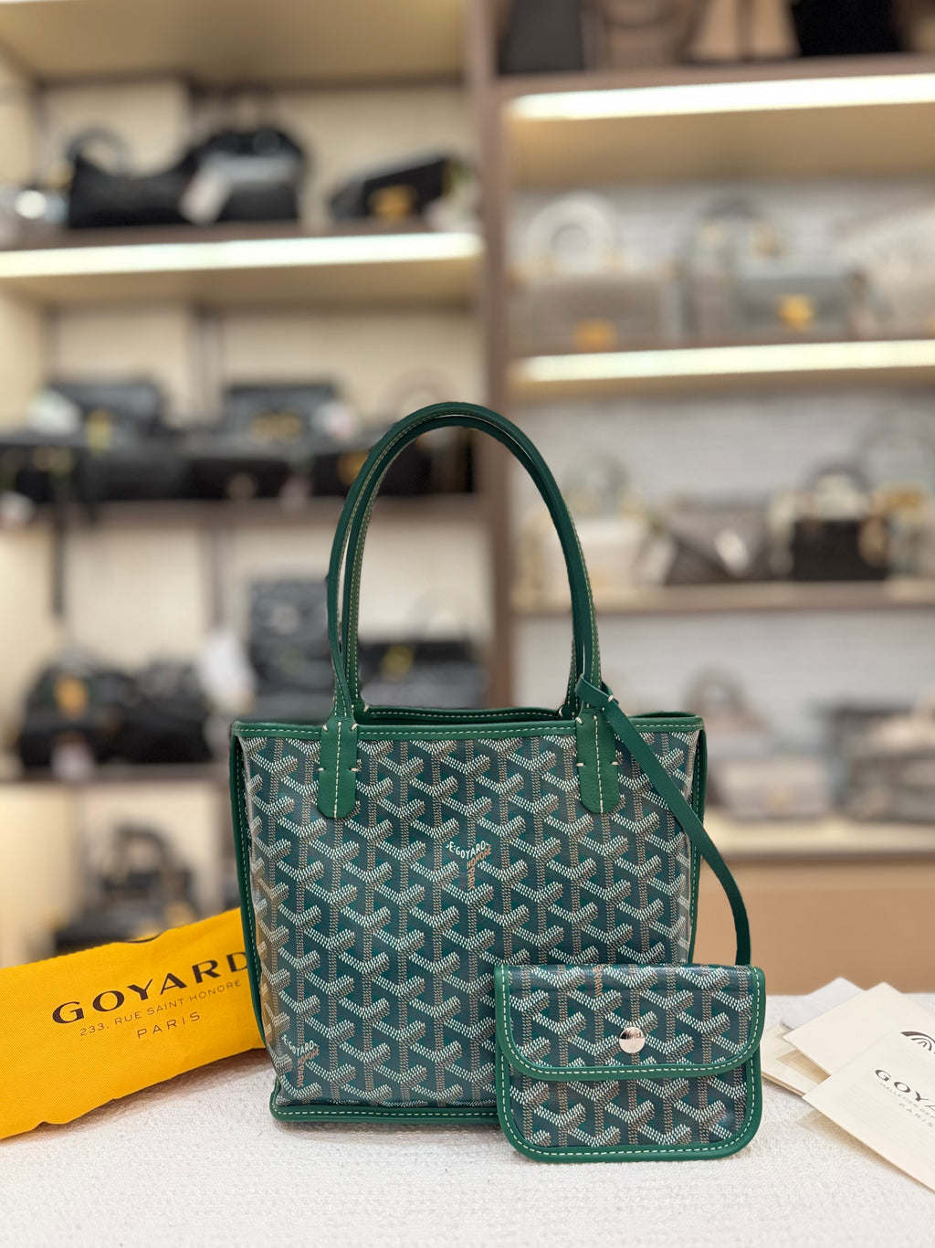 Goyard Anjou Mini Vert
