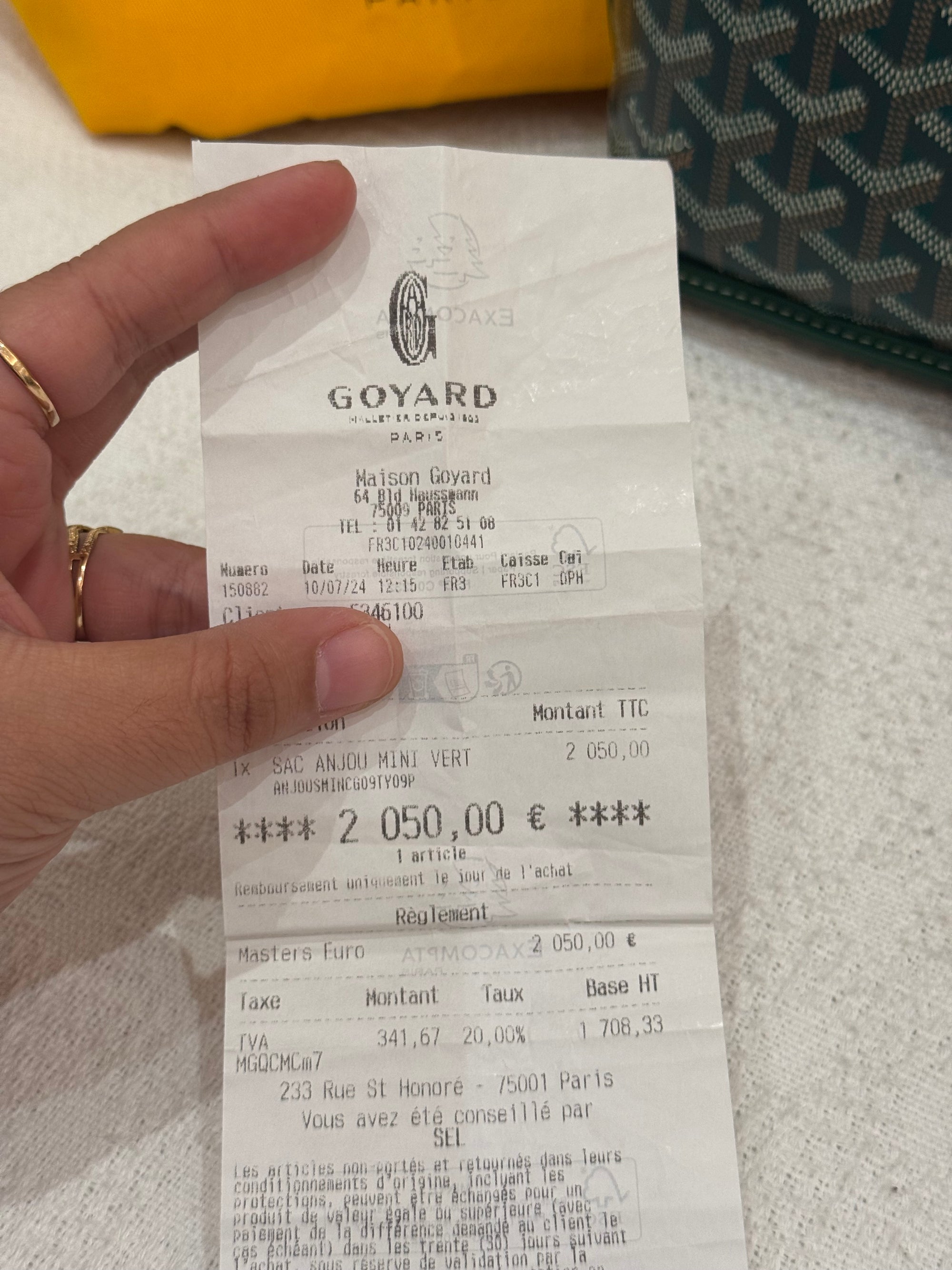 Goyard Anjou Mini Vert