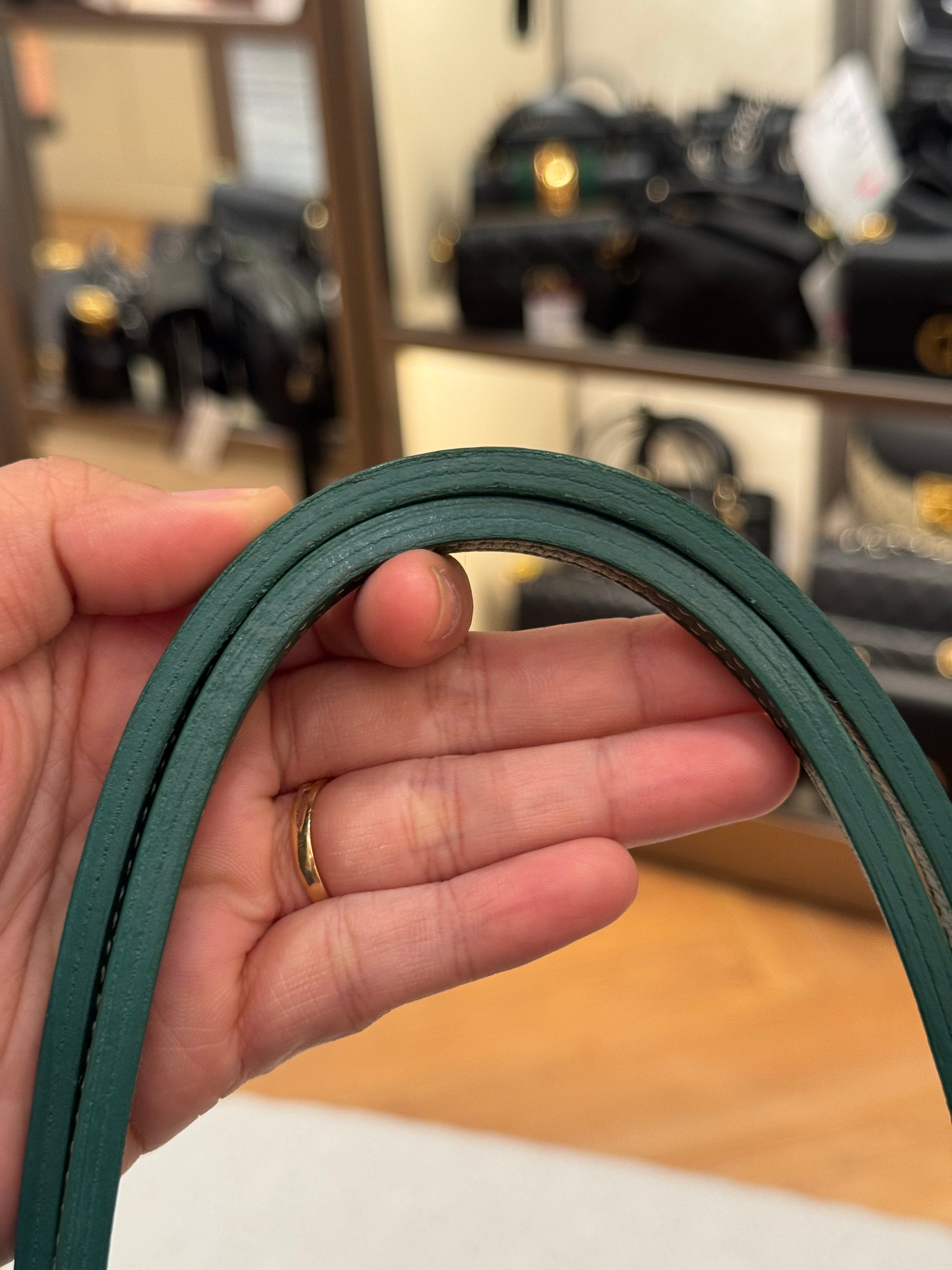 Goyard Anjou Mini Vert