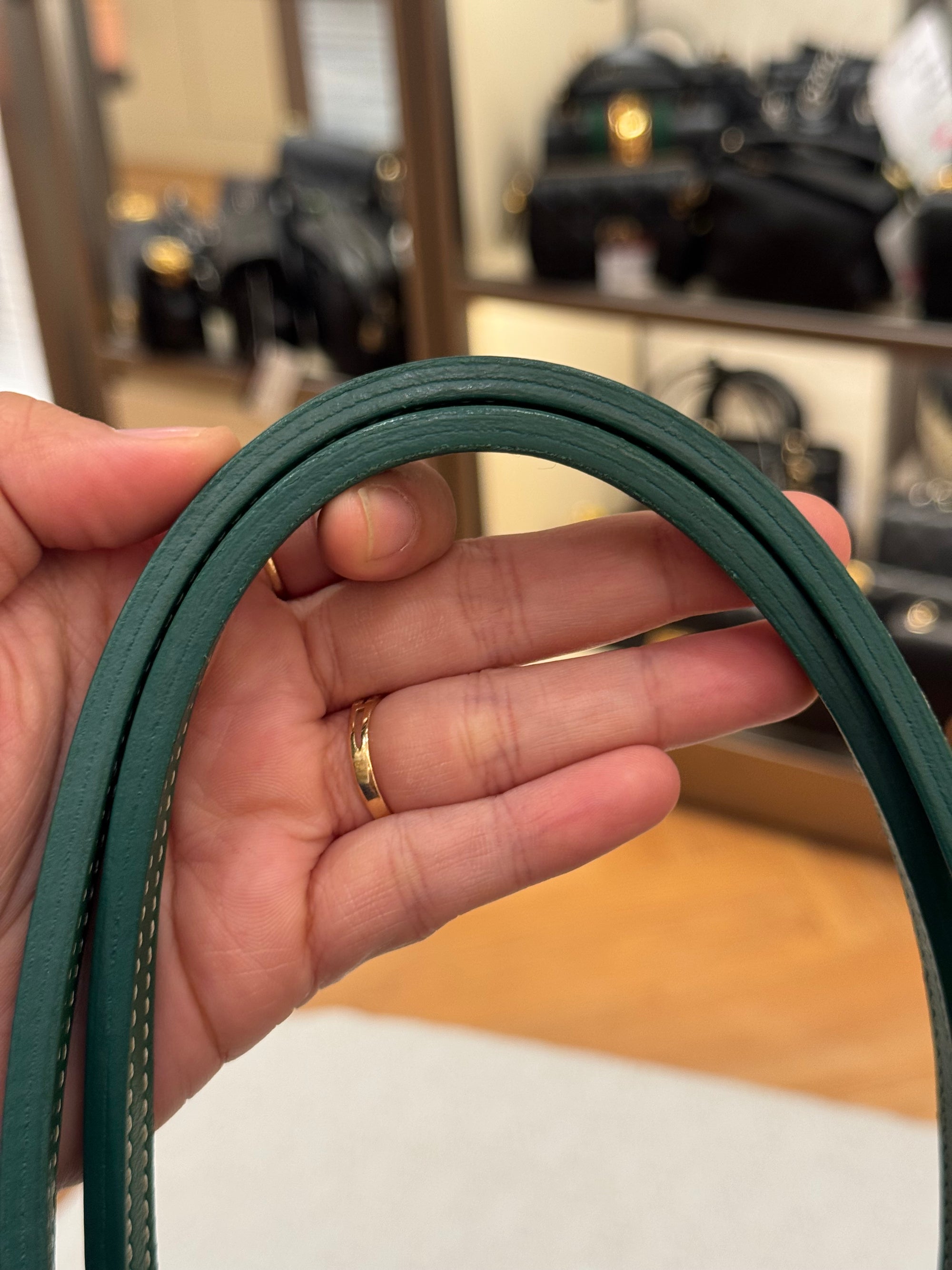 Goyard Anjou Mini Vert