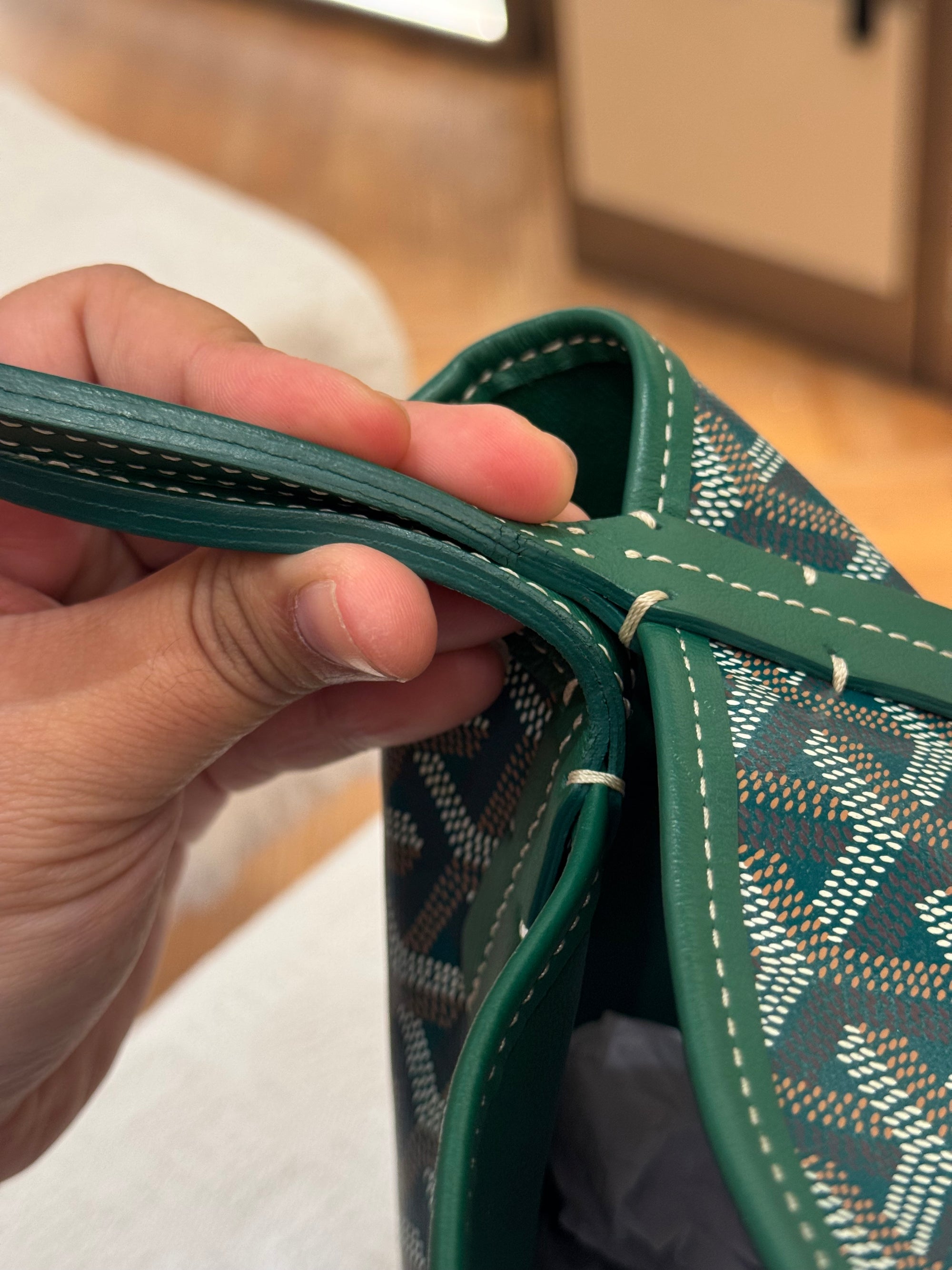 Goyard Anjou Mini Vert