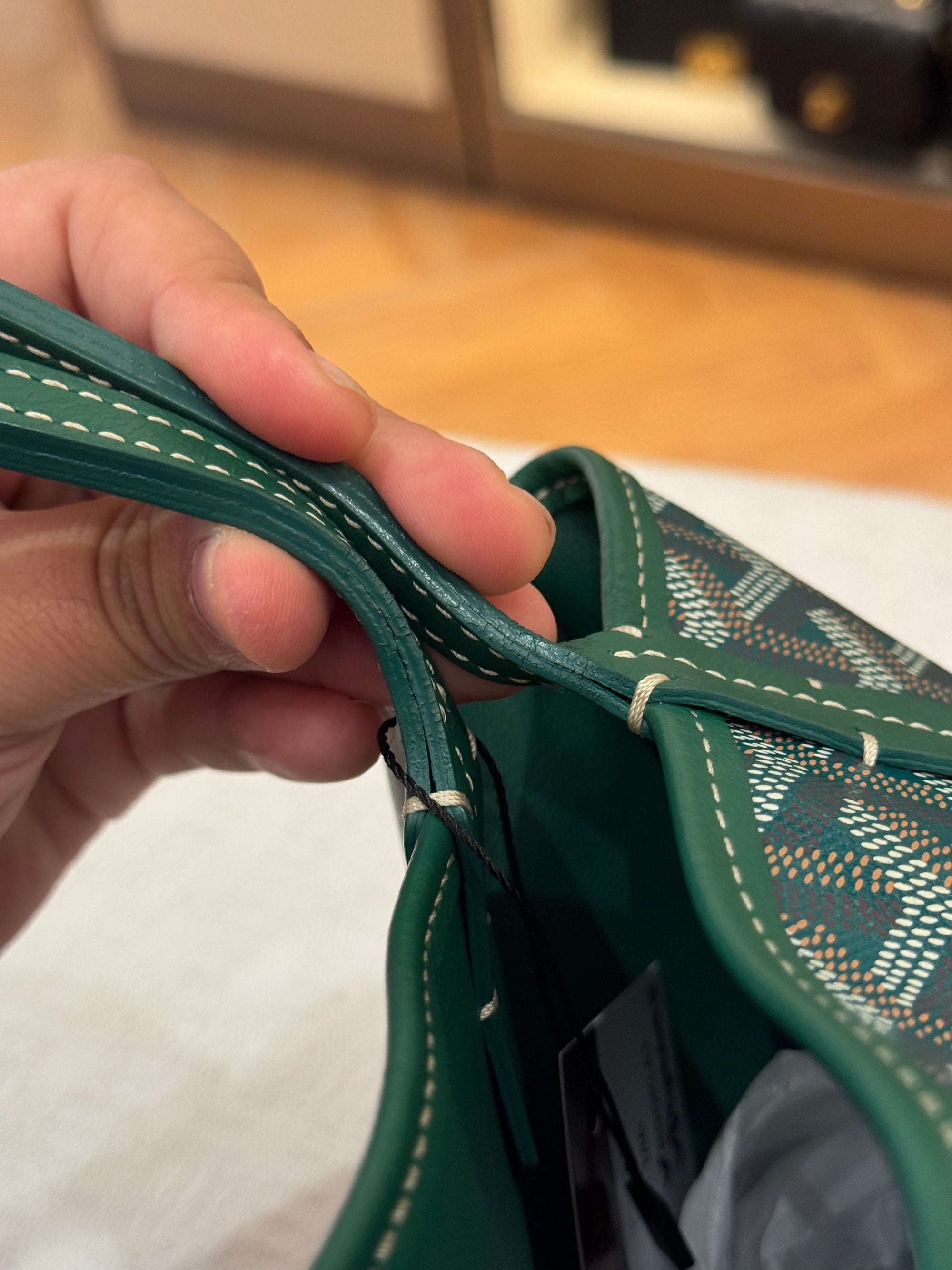 Goyard Anjou Mini Vert