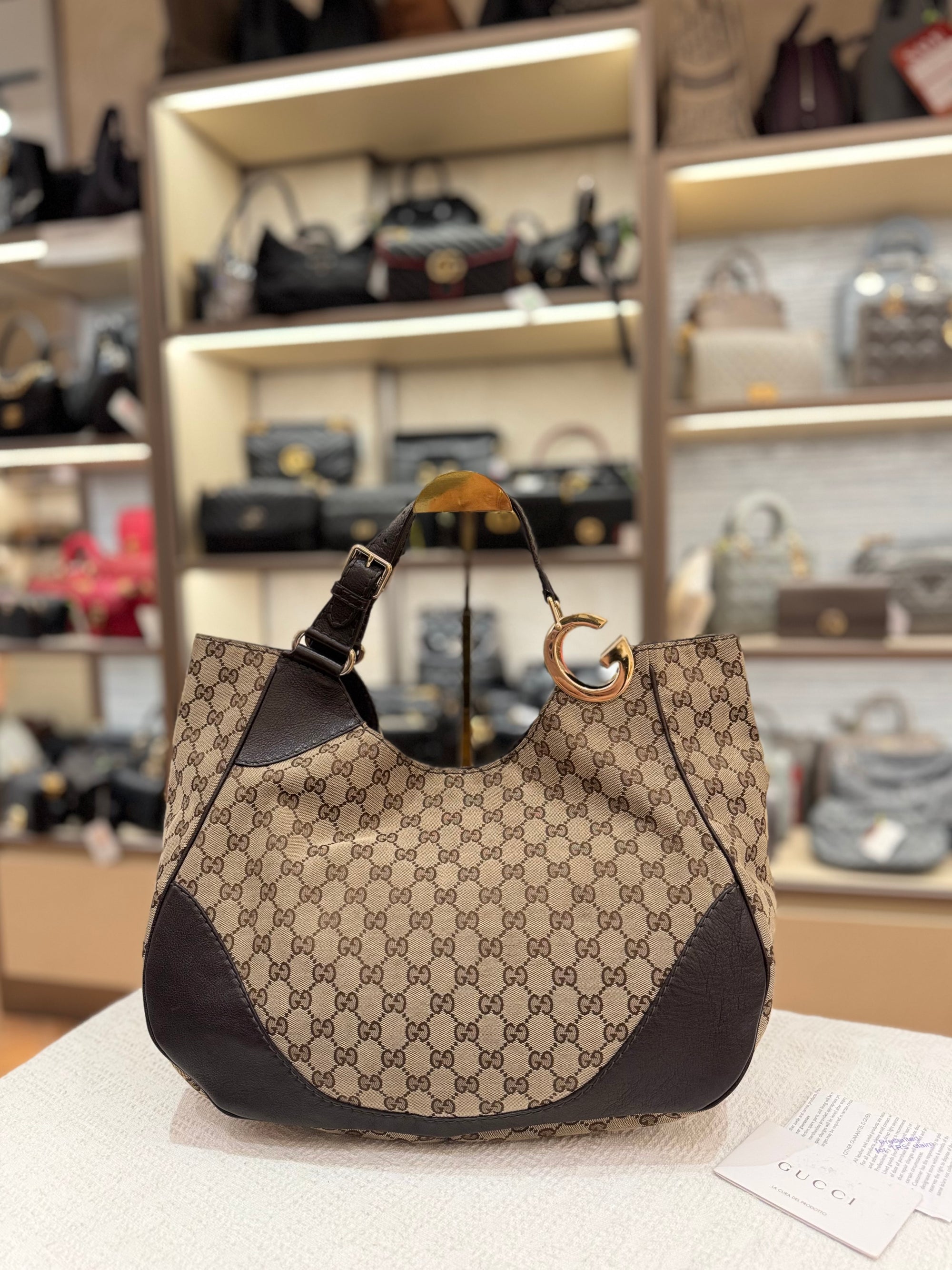 Gucci Charlotte Kanvas Hobo