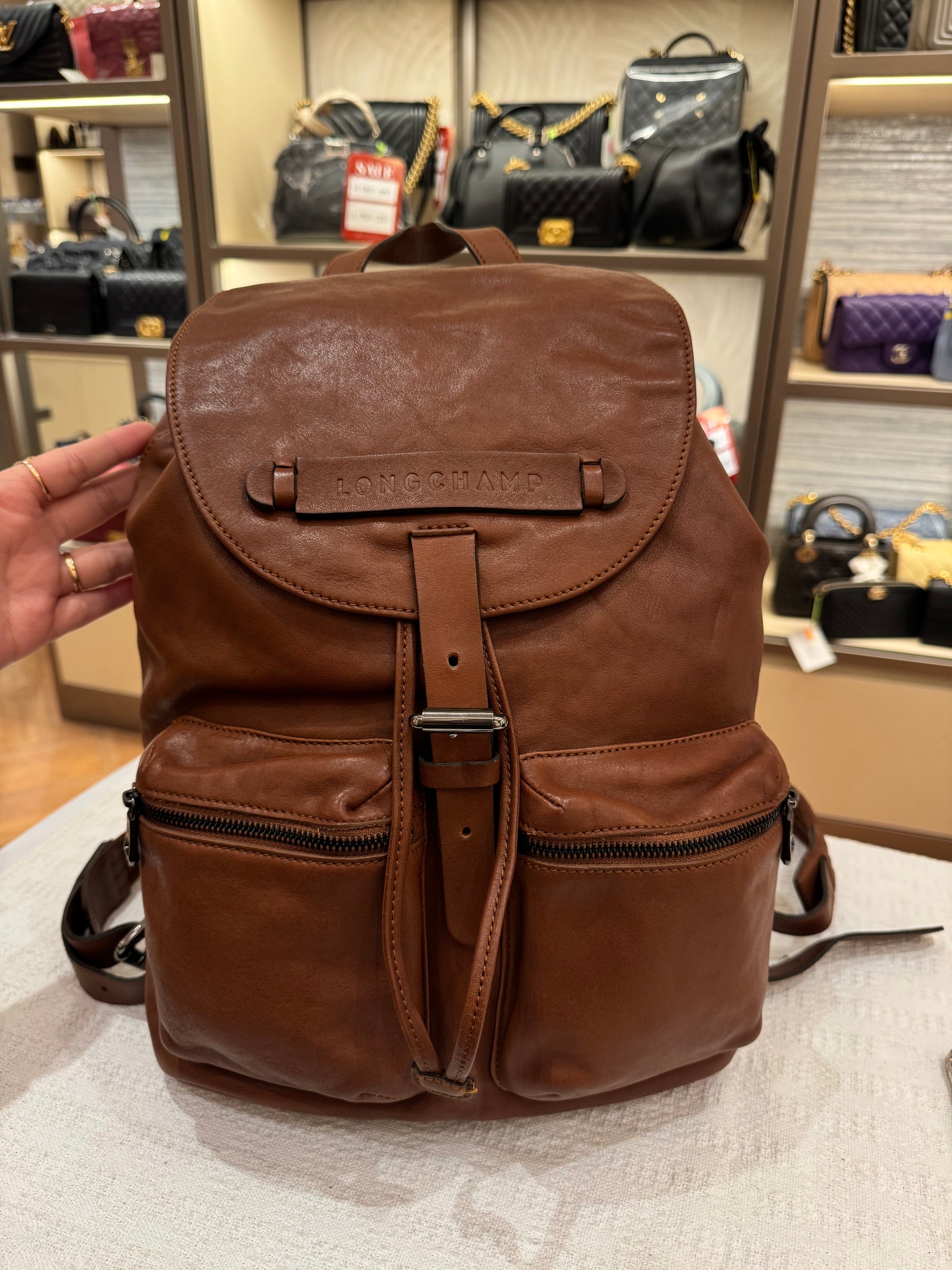 Longchamp Backpack Brown