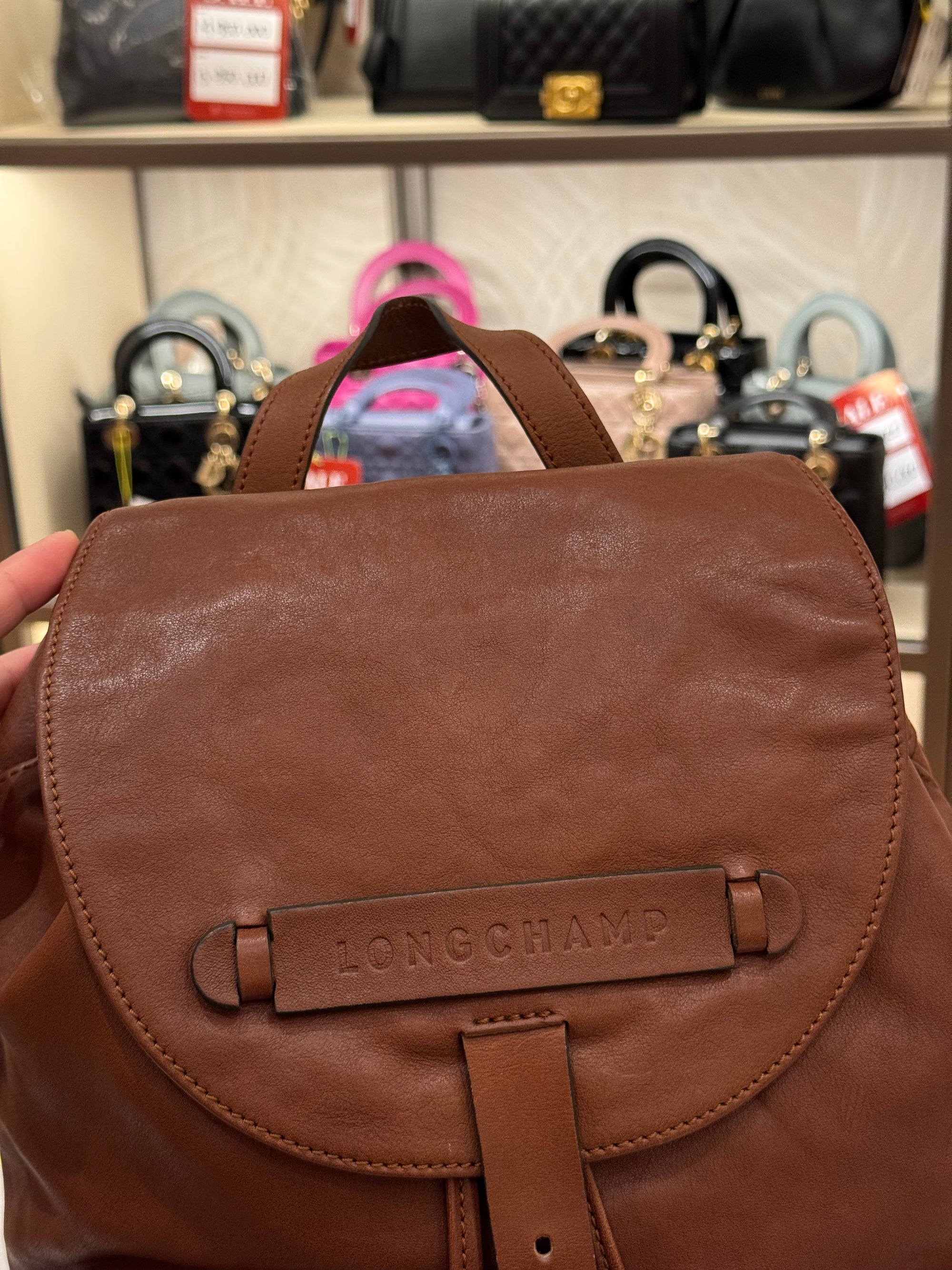 Longchamp Backpack Brown