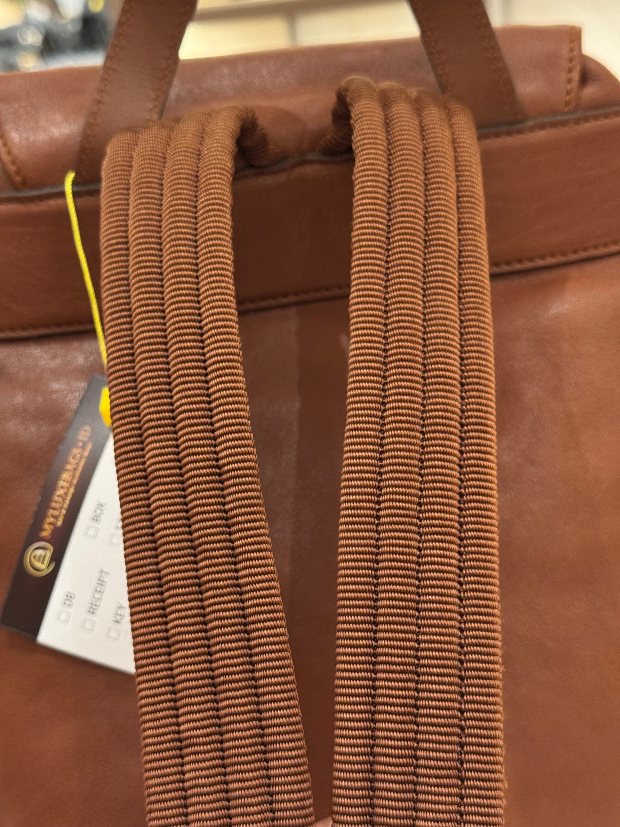 Longchamp Backpack Brown