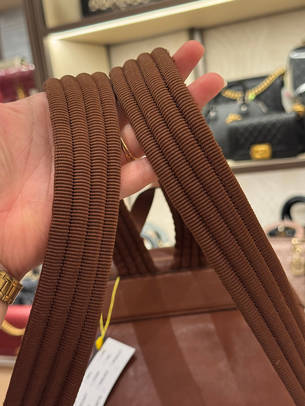 Longchamp Backpack Brown