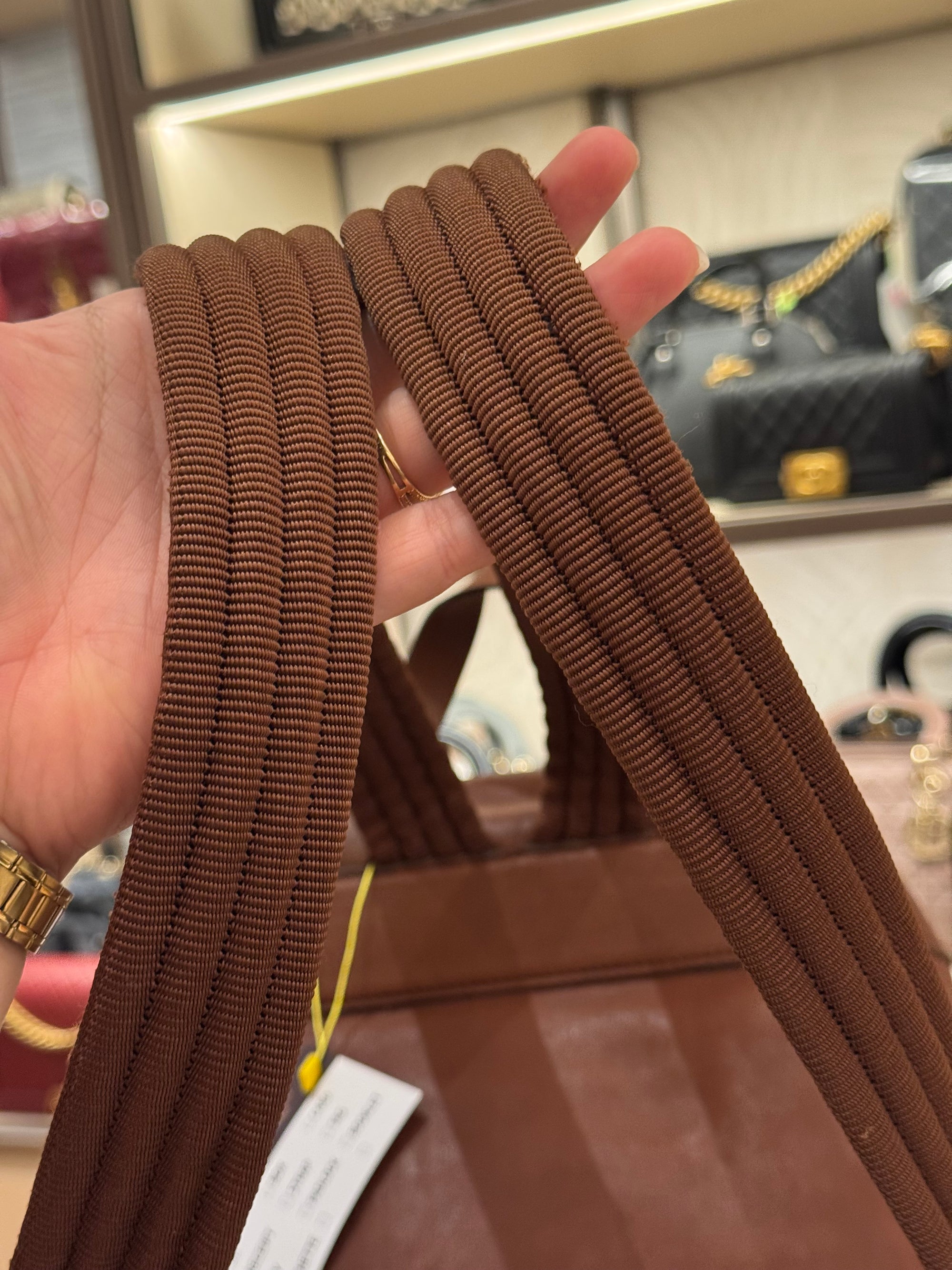 Longchamp Backpack Brown