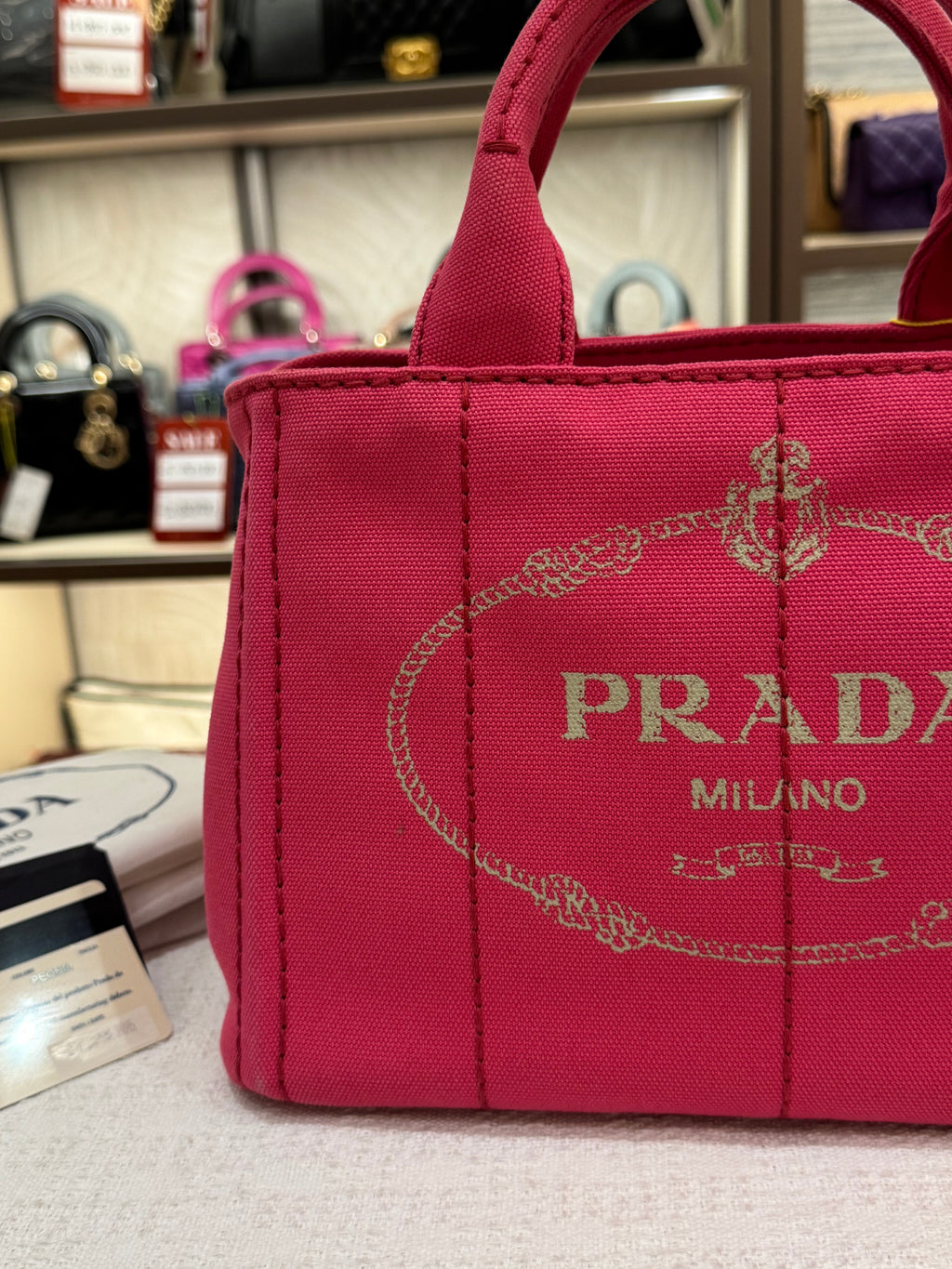 Prada Canapa Canvas