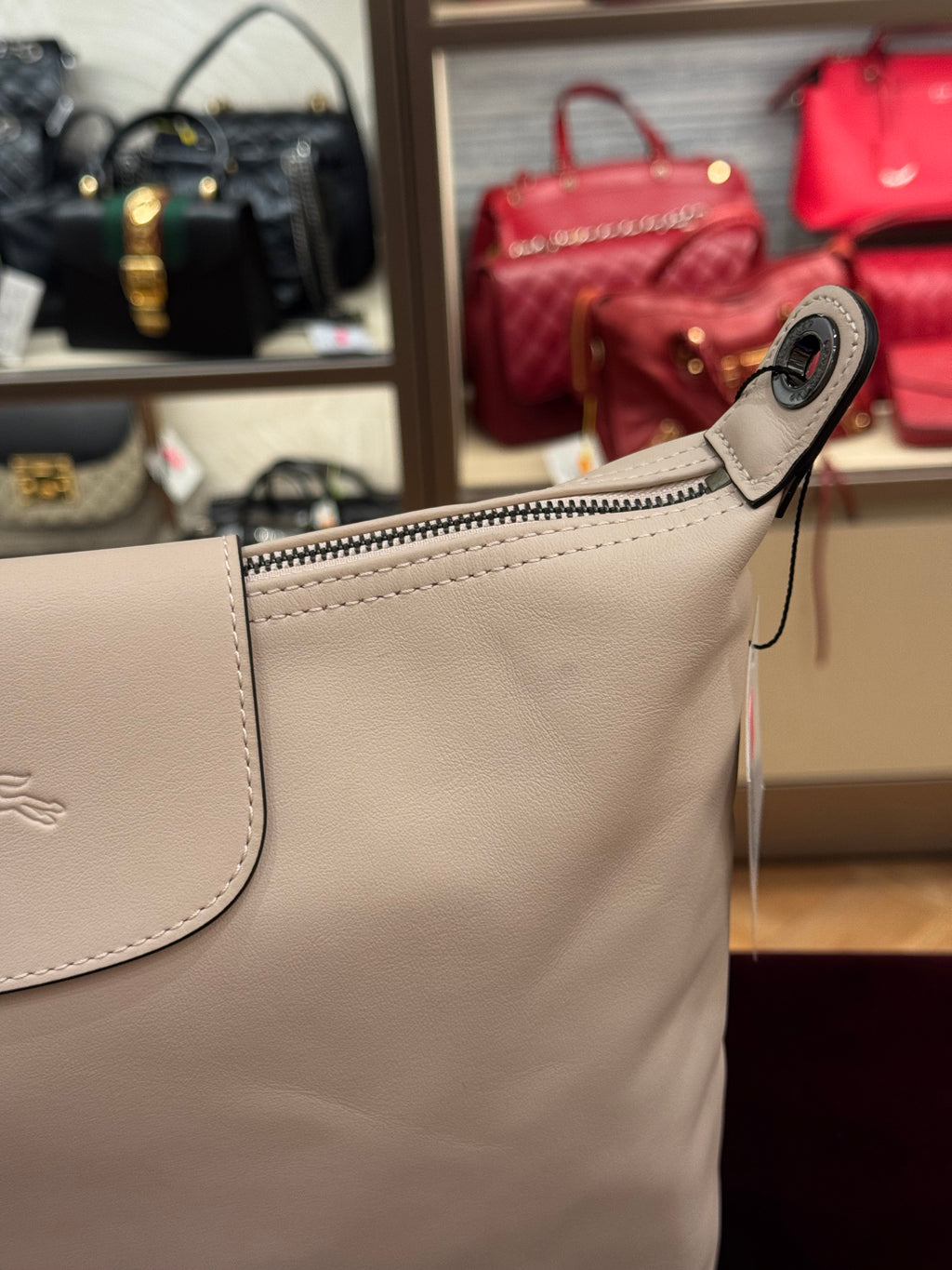 Longchamp Hobo Le Pliage Pink