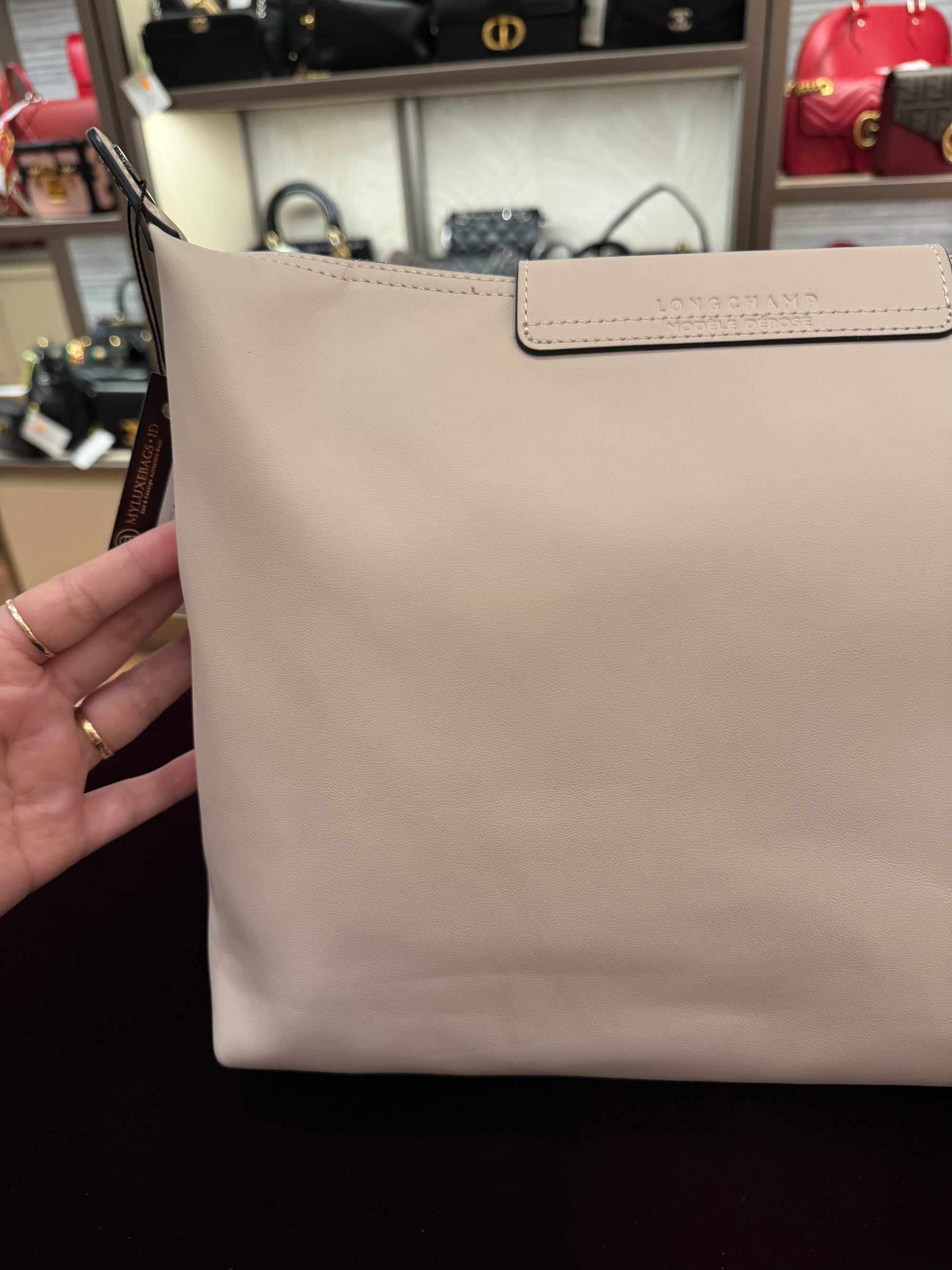 Longchamp Hobo Le Pliage Pink