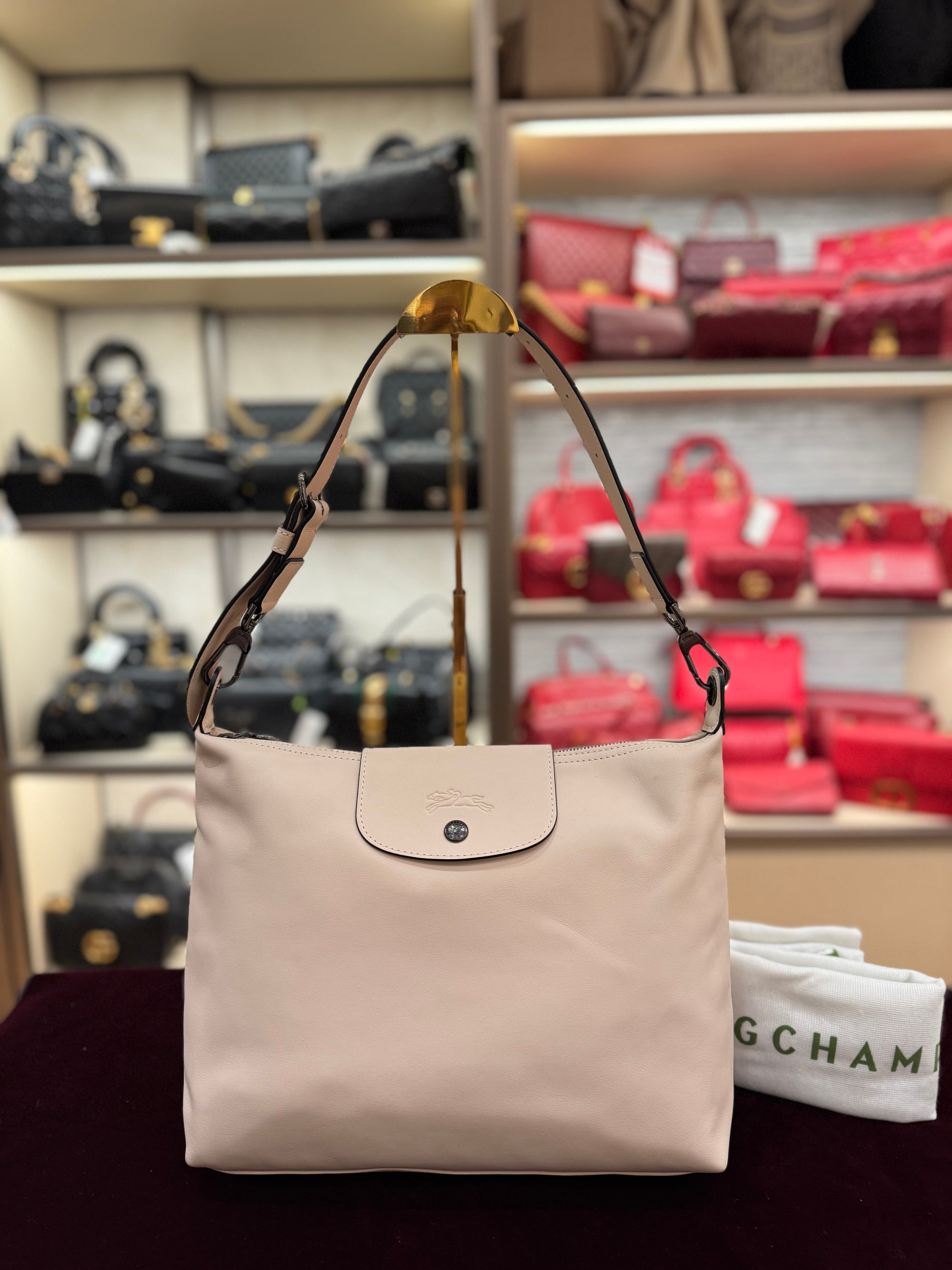 Longchamp Hobo Le Pliage Pink