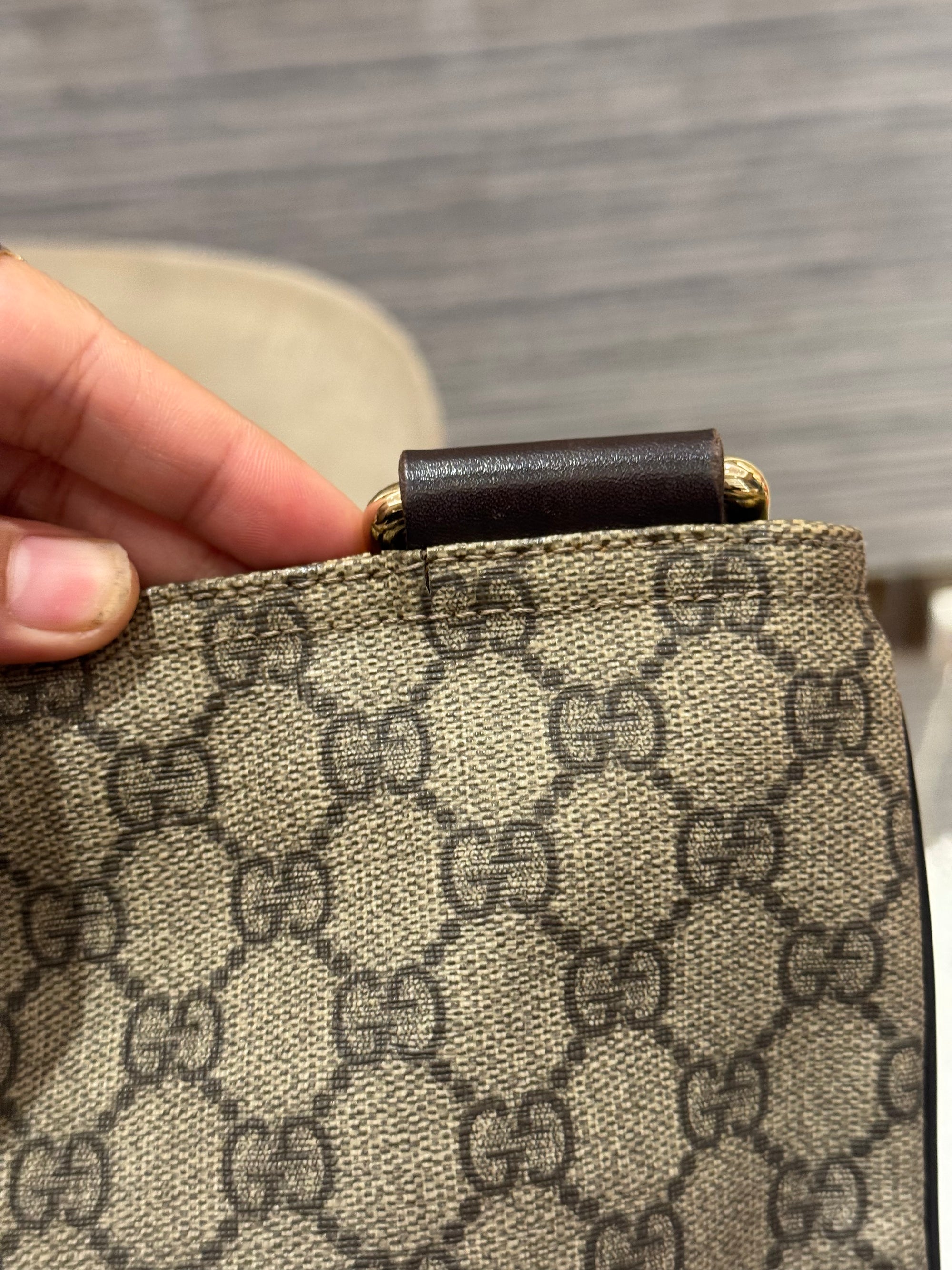 Gucci Mesenger Monogram