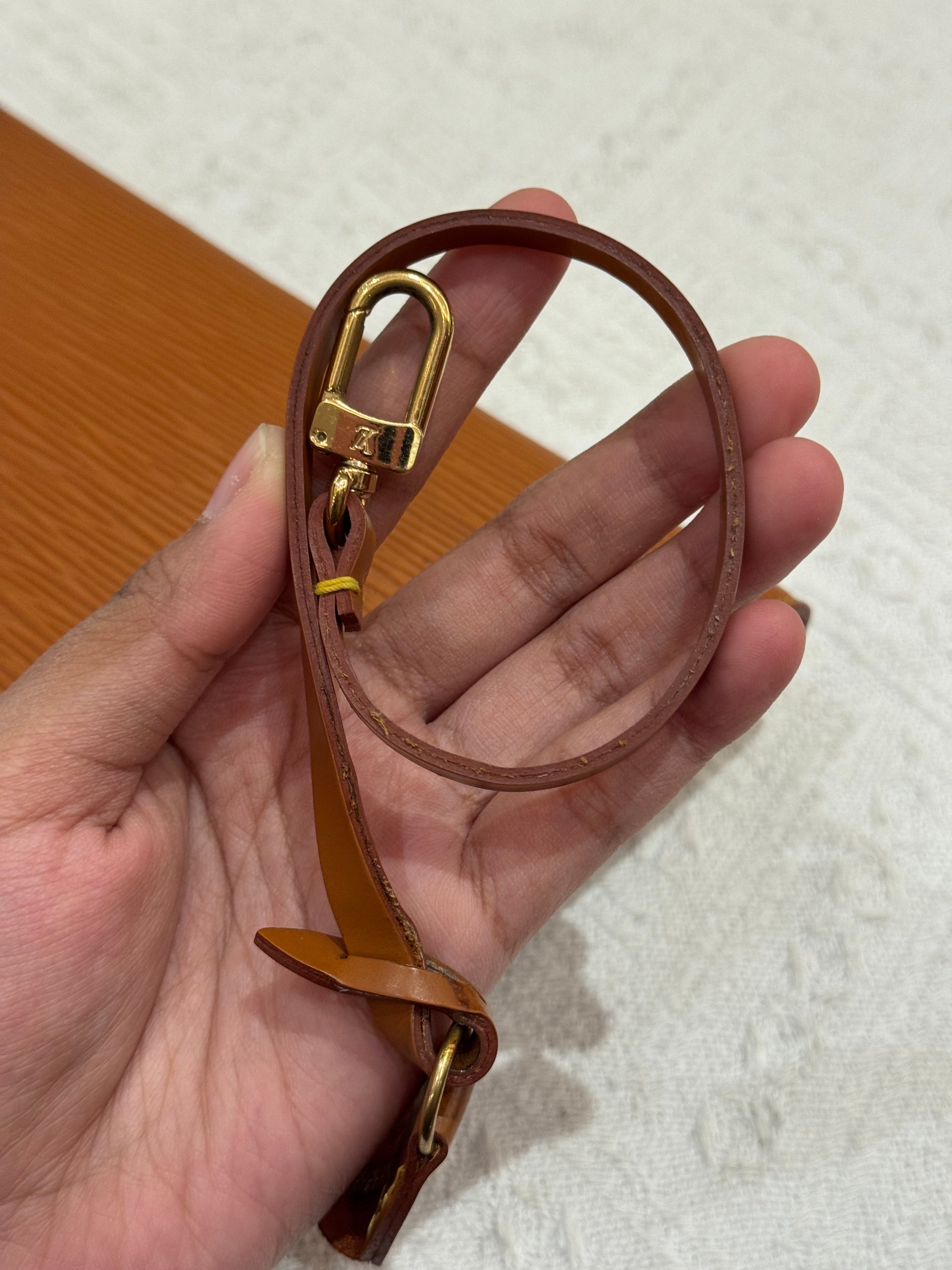 Louis Vuitton Pouchette Epi Leather Gold