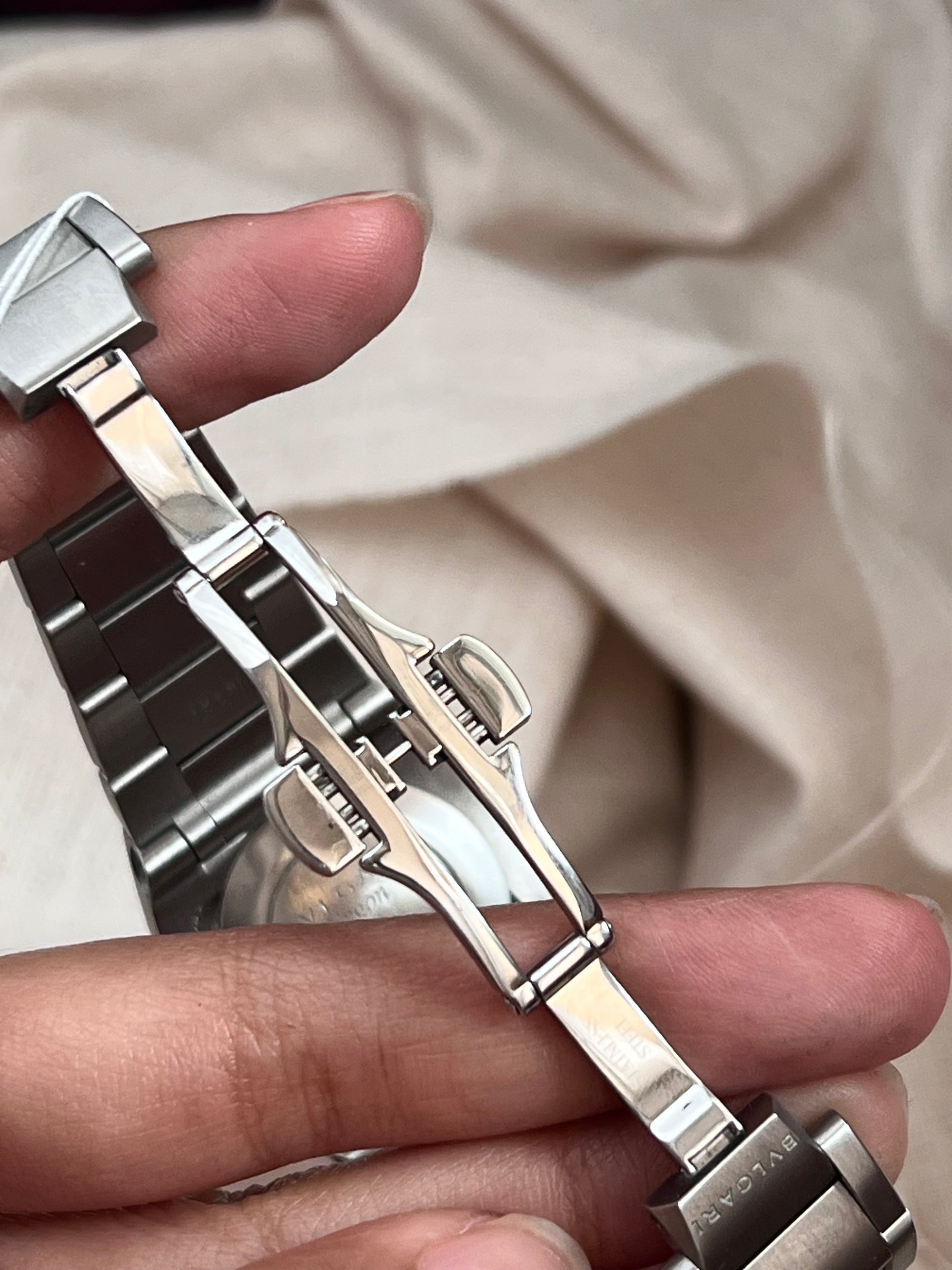 Bvlgari Ergon Silver Black Dial