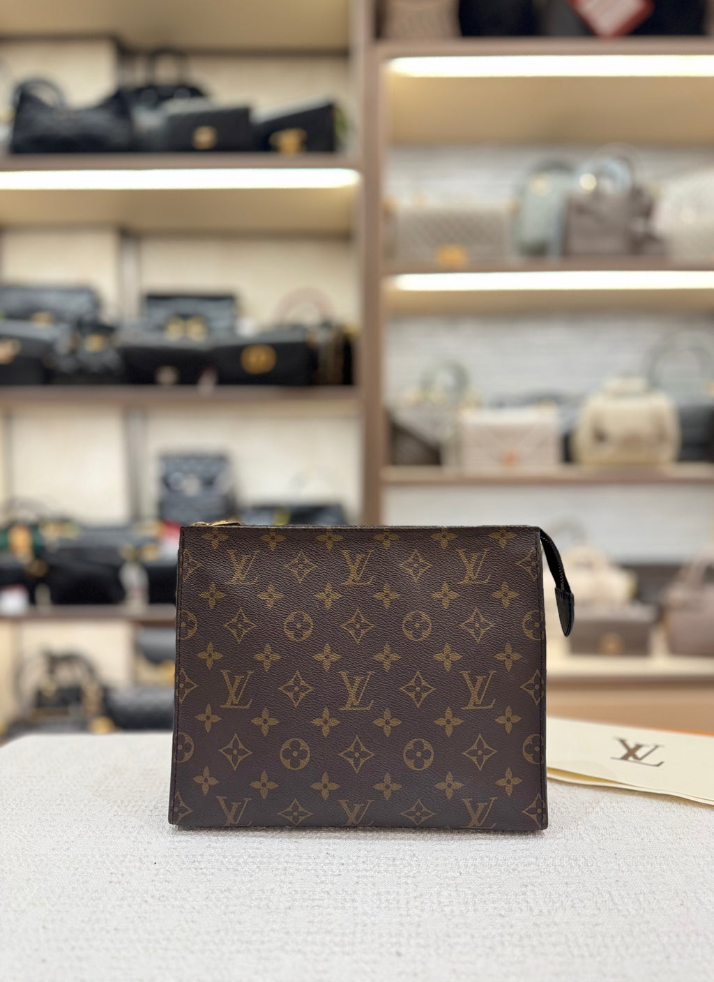 Louis Vuitton Toiletry Monogram