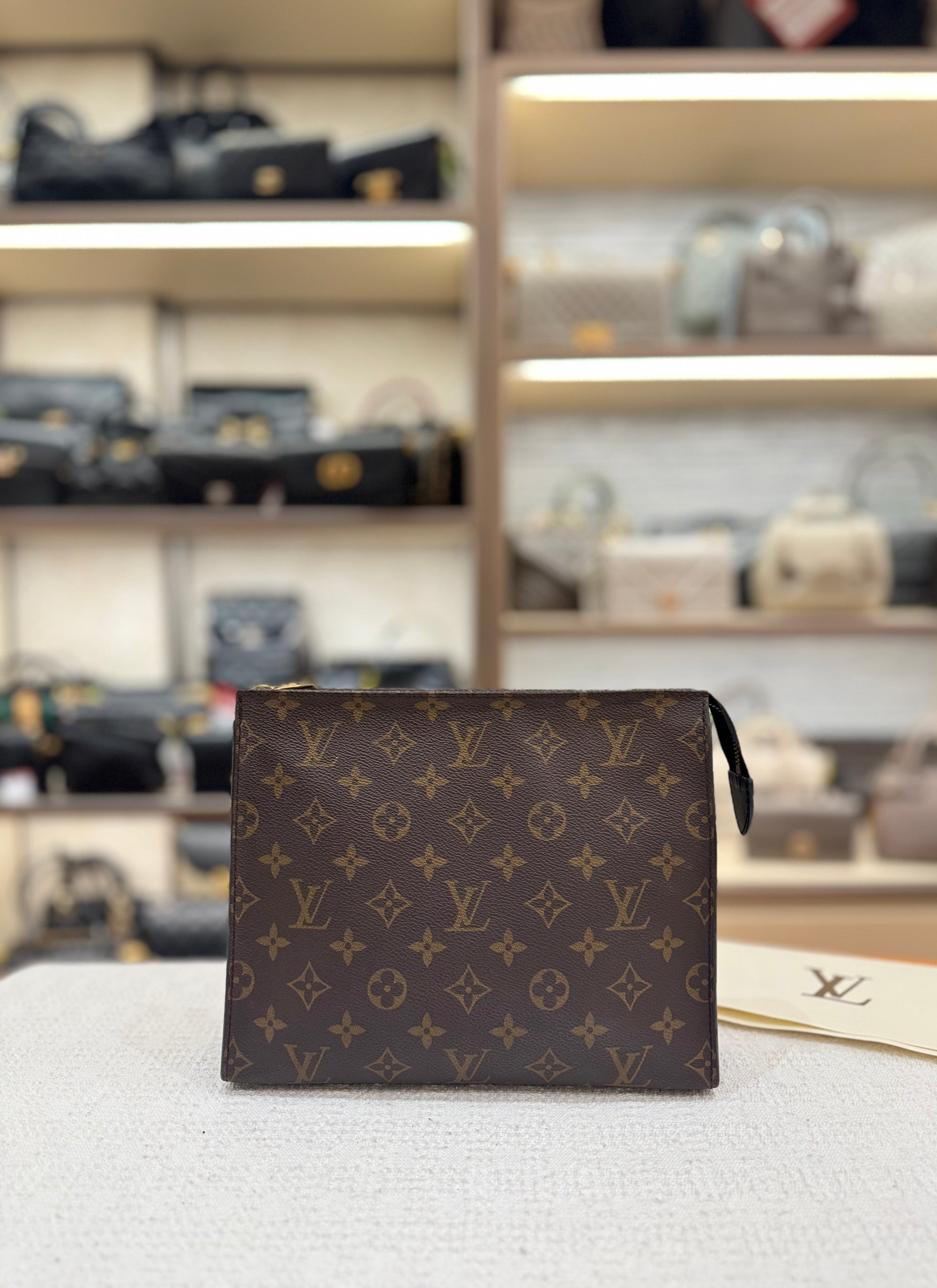 Louis Vuitton Toiletry Monogram