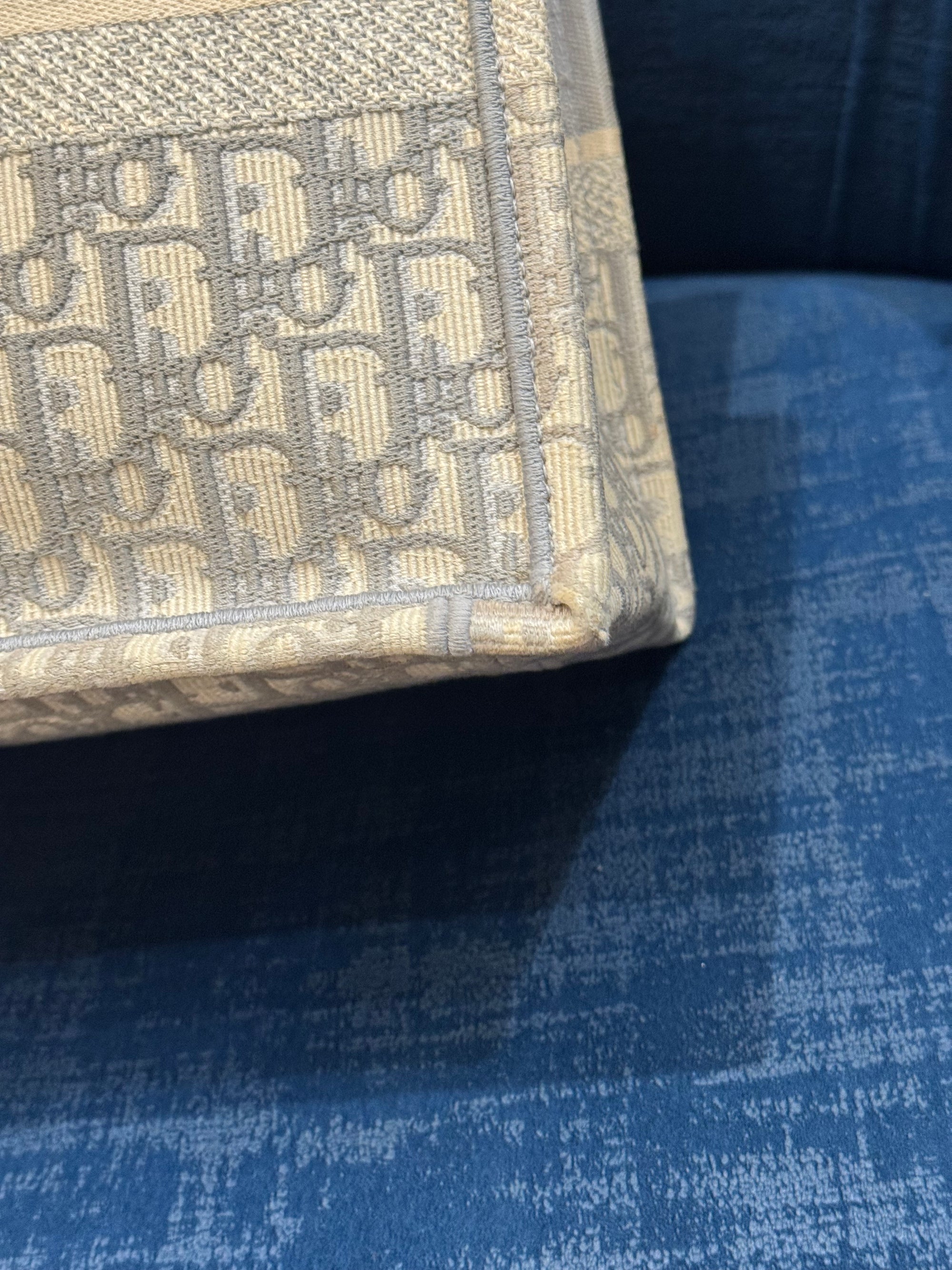Dior Totebook Oblique