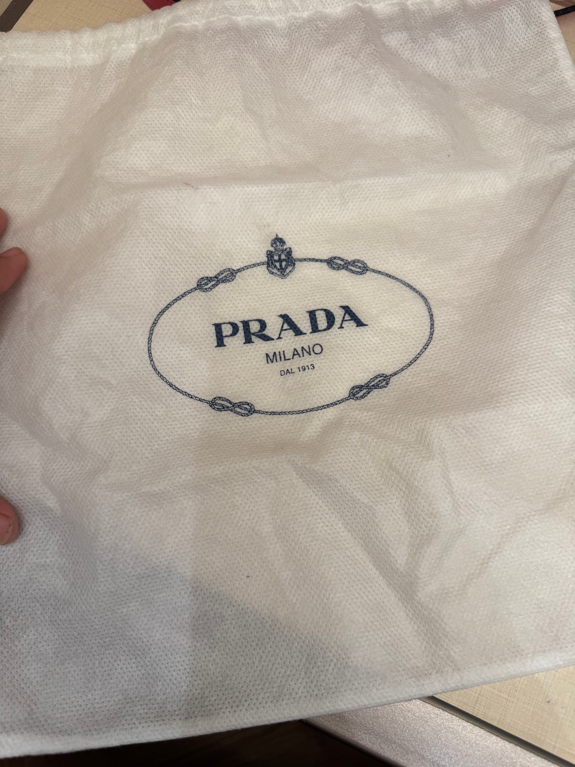 Prada Sling Double Zip Peonia