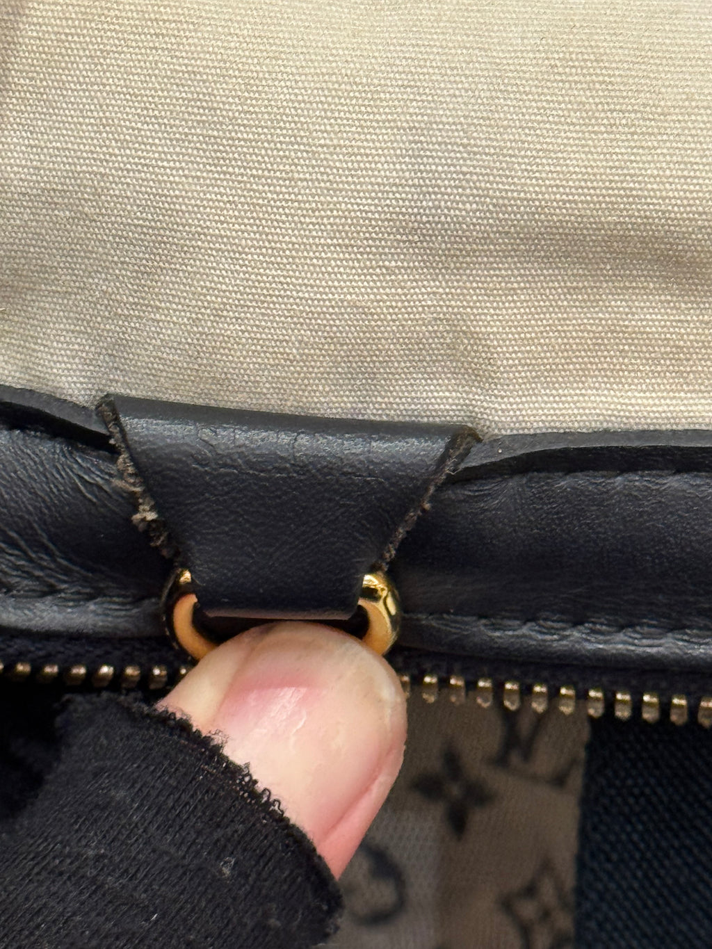 Louis Vuitton Minilin Josephine Monogram