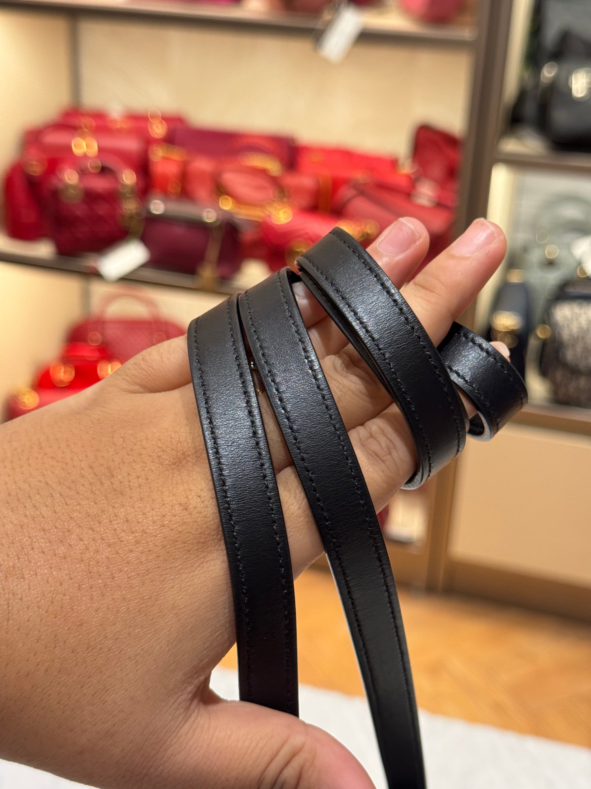 Celine Mini Bucket Triomphe