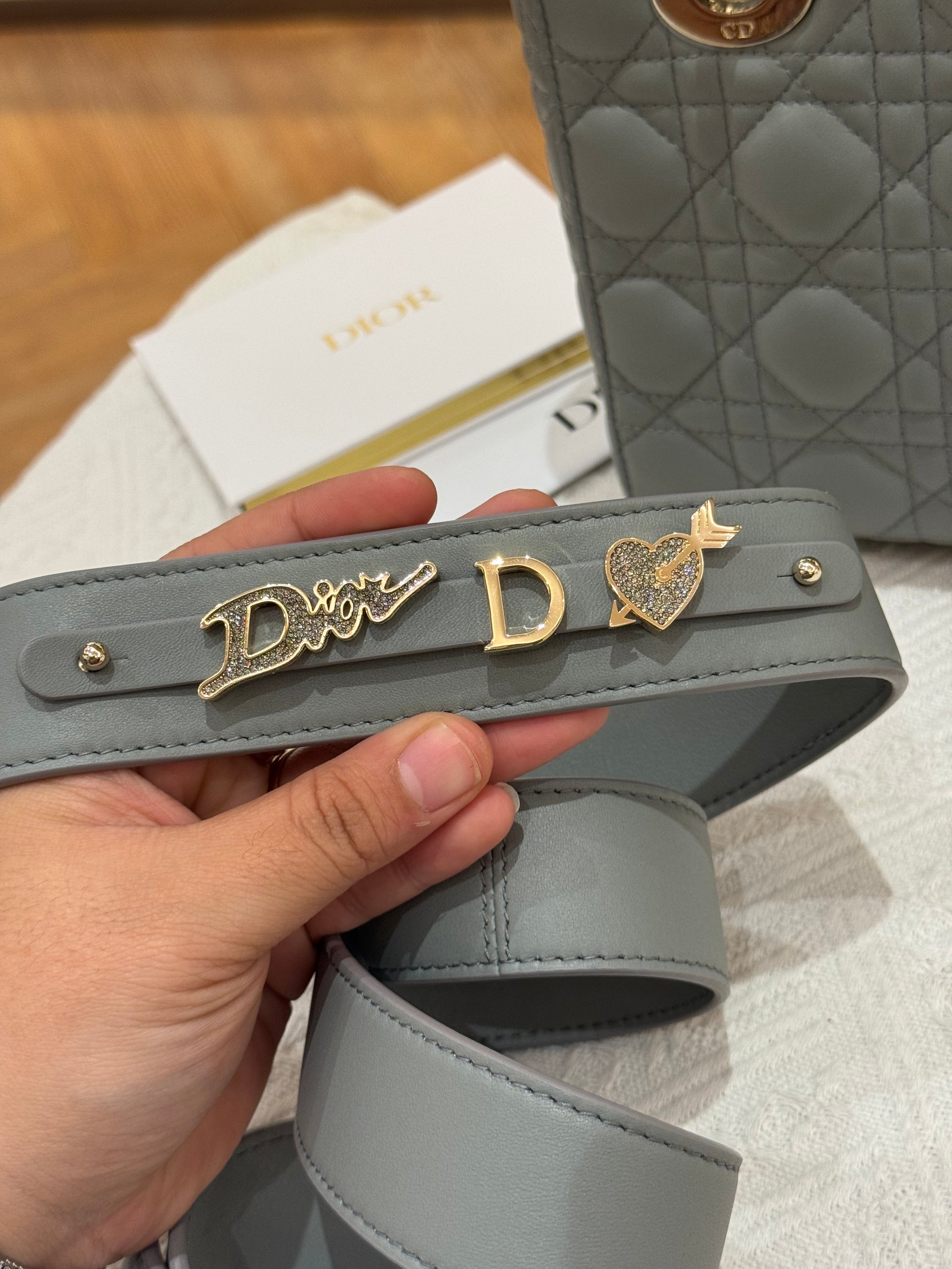 Lady Dior Small Grey Strap Pin