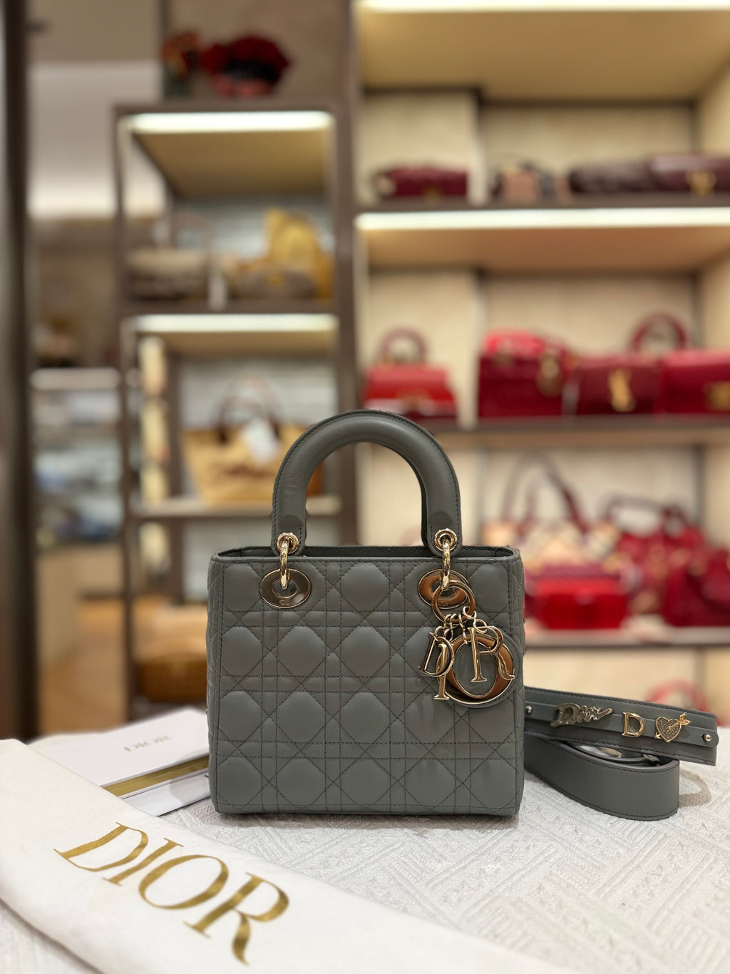 Lady Dior Small Grey Strap Pin