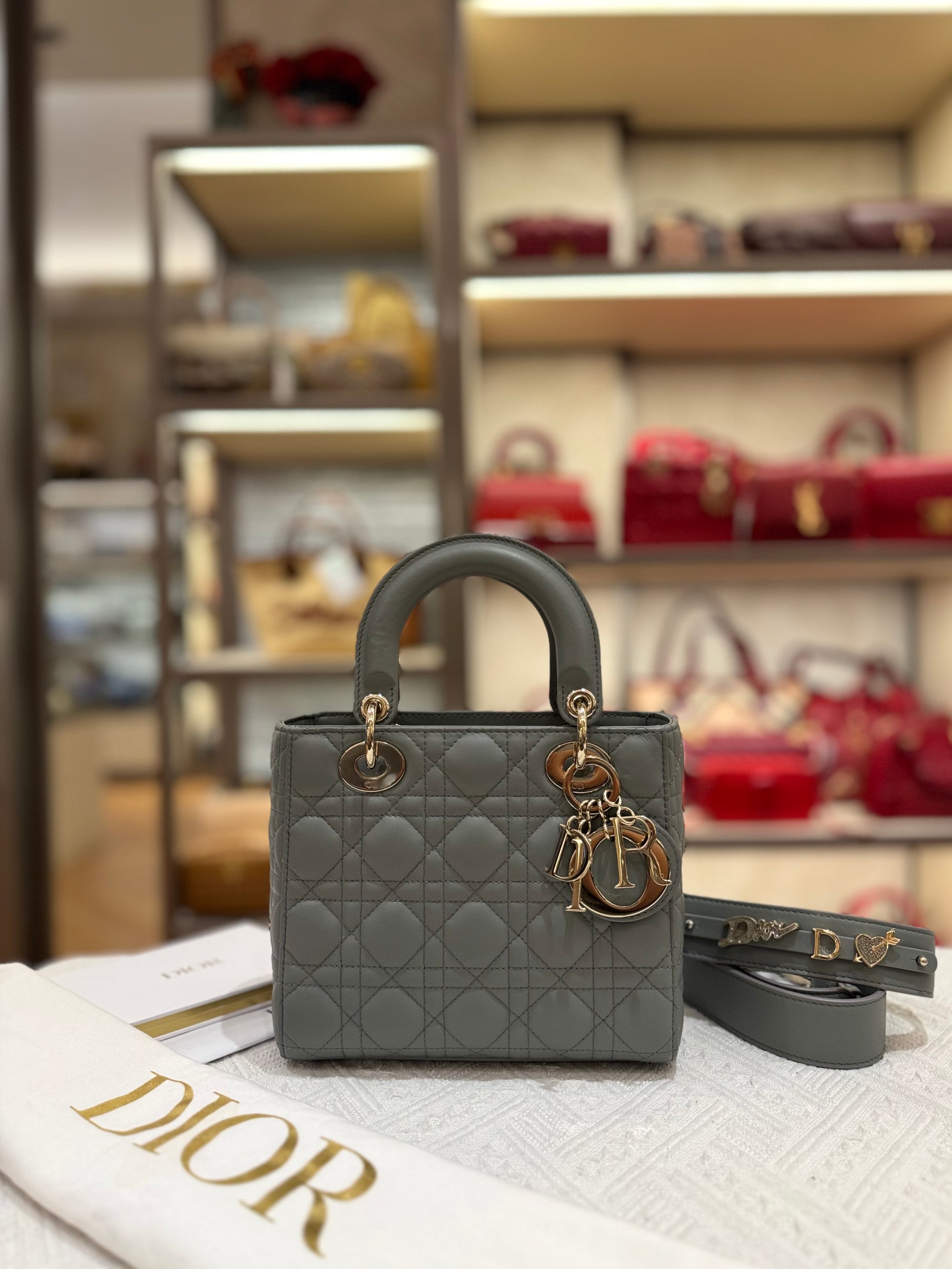 Lady Dior Small Grey Strap Pin