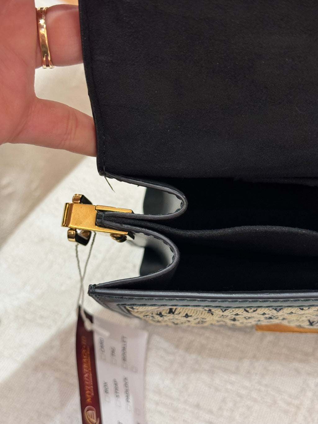 Louis Vuitton Dauphine Canvas