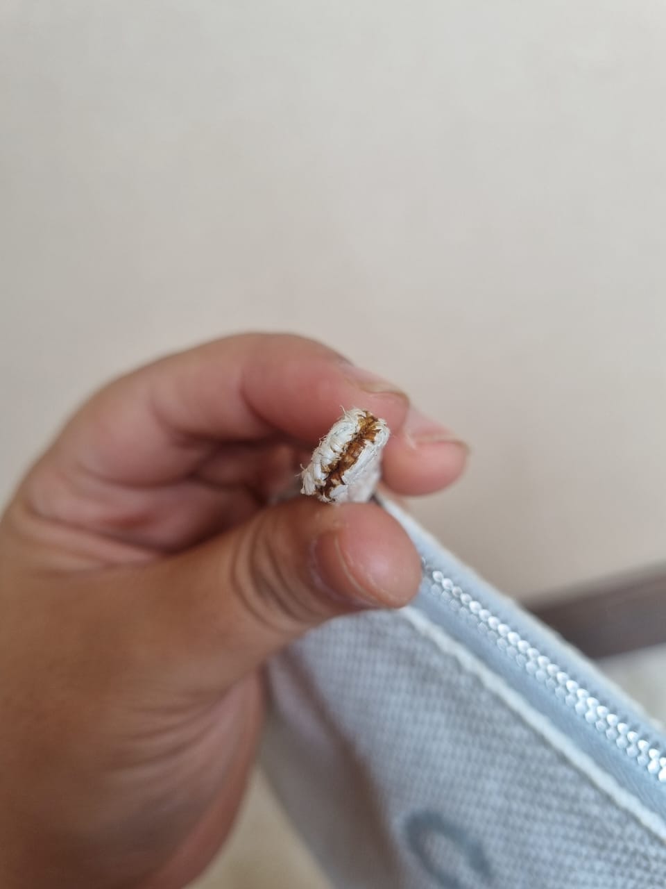 Chanel Deauville Pouch