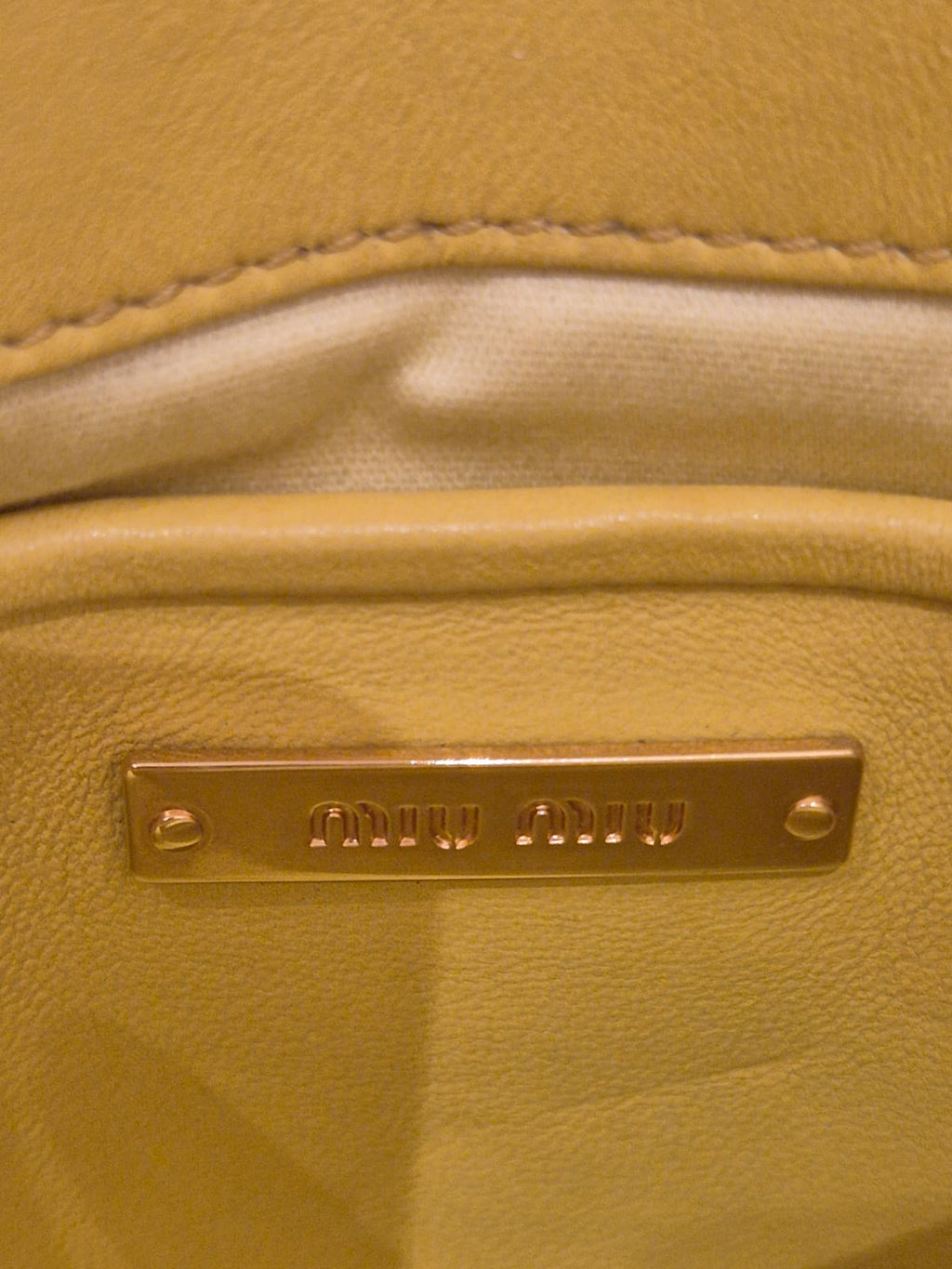 Miu Miu Mini Crossbody